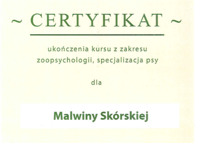 certyfikat ukończenia kursu z zakresu zoopsychologii, specjalizacja psy. wydane przez ośrodek szkolenia psów "na woli". tło ma kolor zielony ze zdjęciem psa w prawym rogu