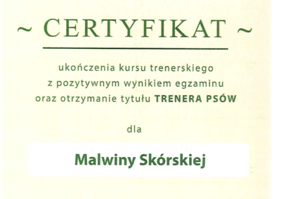 certyfikat ukończenia kursu trenerskiego z pozytywnym wynikiem egzaminu oraz otrzymanie tytułu trenera psów. wydane przez ośrodek szkolenia psów "na woli". tło ma kolor zielony ze zdjęciem psa w prawym rogu