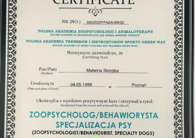 certyfikat otrzymania tytułu zoopsychologa i behawiorysty zwierząt specjalizacja psy, wydany przez polską akademię zoopsychologii i animaloterapii oraz polską akademię trenerów i instruktorów sportu green way. tekst na certyfikacie w wersji polskiej oraz angielskiej.