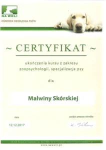 Certyfikat