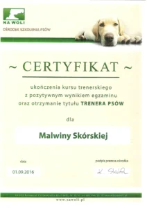 Certyfikat