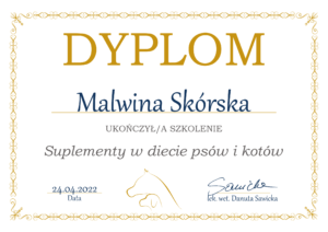 Dyplom