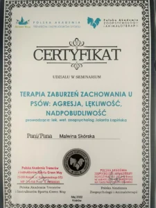 Certyfikat