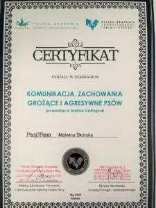 Certyfikat