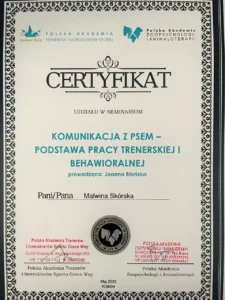 Certyfikat